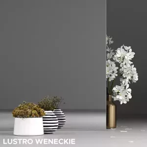 przeszklenie-lustro-weneckie-11