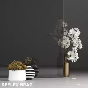 przeszklenie-reflex-braz-5