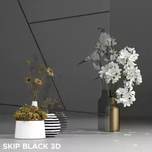 przeszklenie-skip-black-3d-4