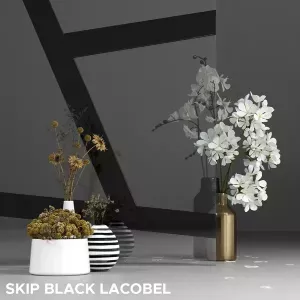 przeszklenie-skip-black-lacobel-3